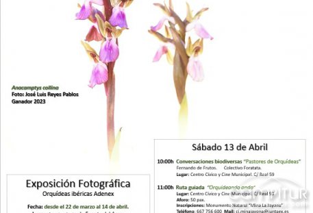 XXII Día de las Orquídeas en Extremadura 