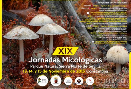 XIX Jornadas Micológicas Parque Natural Sierra Norte de Sevilla