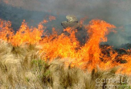 Autorizada la quema de rastrojo hasta diciembre en Extremadura