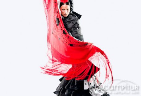 Espectáculo Flamenco “Escuela de Baile Cristina de Felipe”