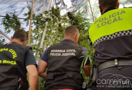 Detenidos dos vecinos de Llerena acusados por un delito contra la salud pública 