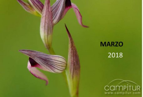II Concurso de Fotografía de Orquídeas 