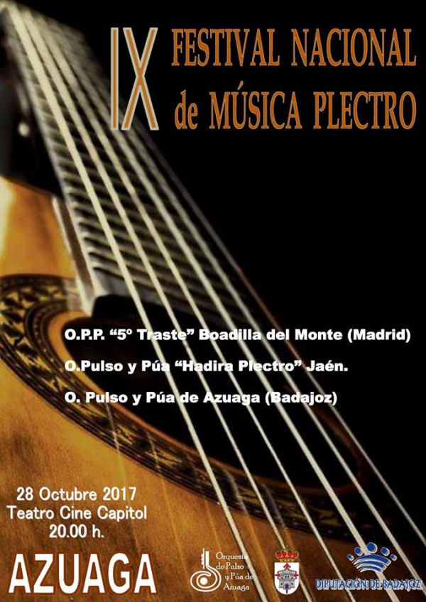 Cartel de IX Edición del Festival Nacional de Música Plectro