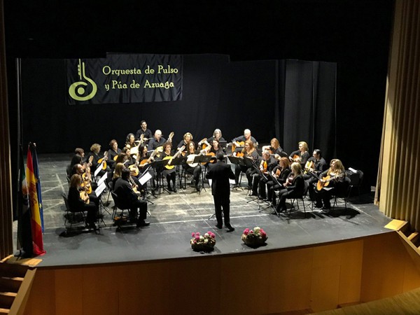 Cartel de Concierto Orquesta Pulso y Púa 
