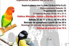 V Concurso – Exposición Ornitológica de Azuaga 