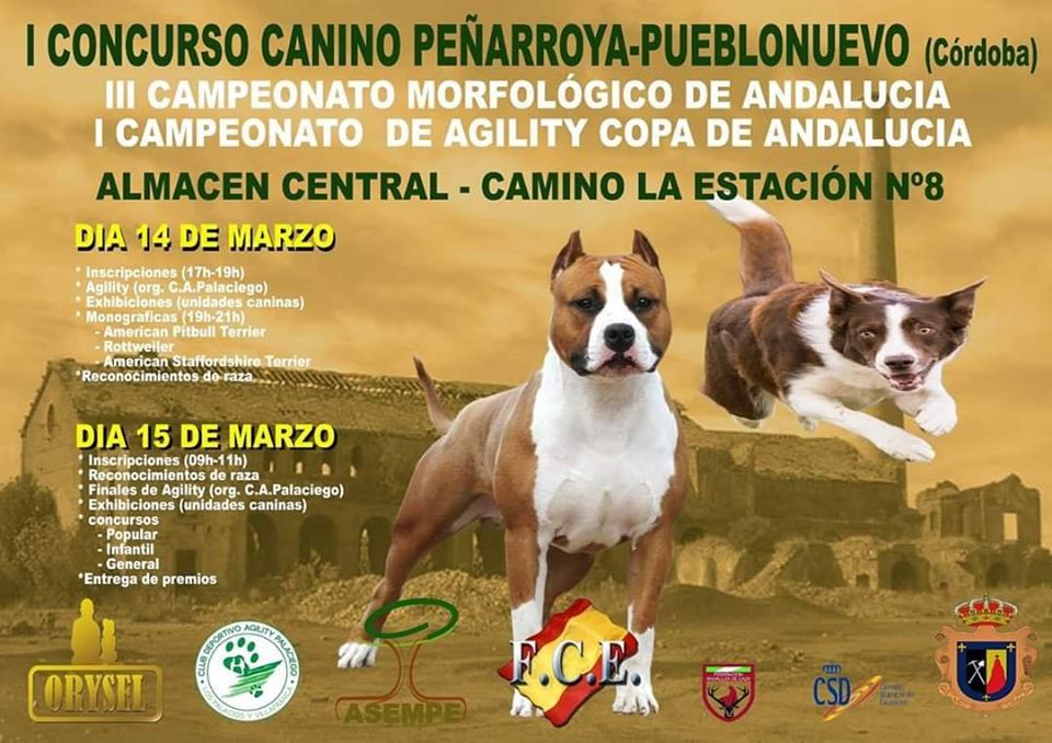 Cartel de I Concurso Canino Peñarroya-Pueblonuevo