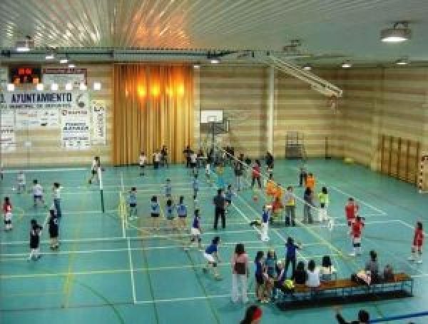 Cartel de Concentración de Minivoley 