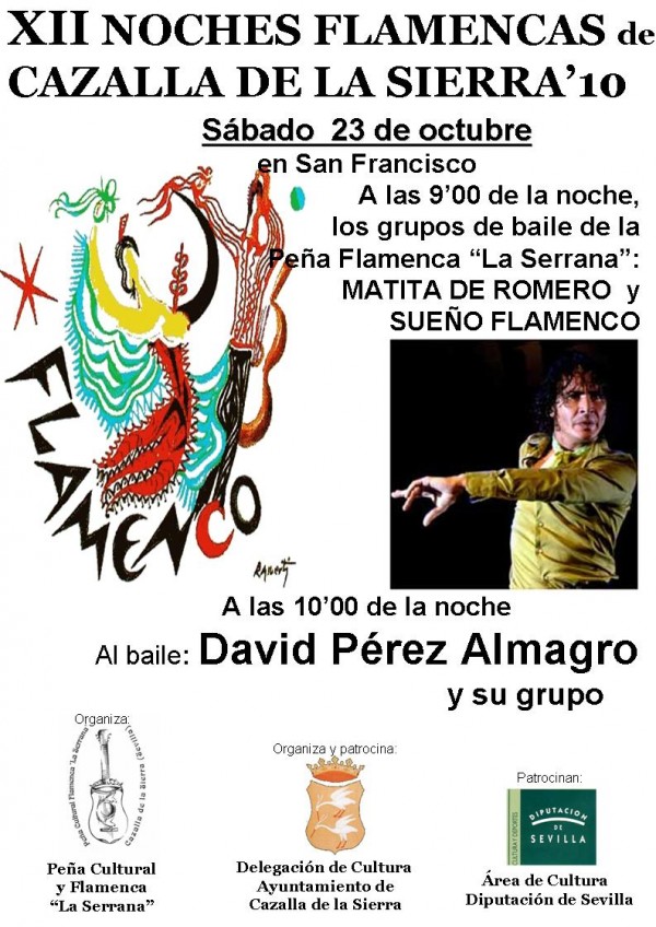 Cartel de XII Edición de las Noches Flamencas 