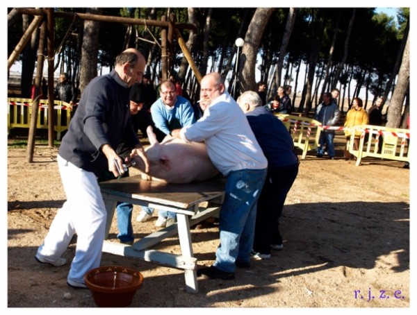 Cartel de VII Matanza Tradicional del Cerdo