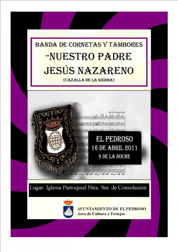 Cartel de Concierto en El Pedroso