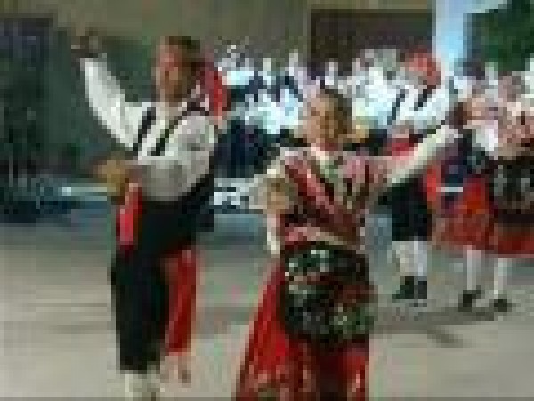 Cartel de Agrupación Folklórica - “El Venero”