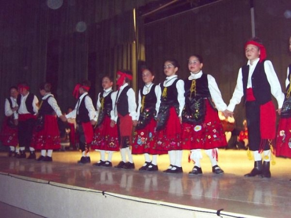 Cartel de Agrupación Folklórica 