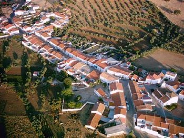 Cartel de Feria 2012 de La Cardenchosa
