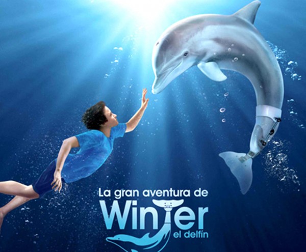 Cartel de Cine “La gran aventura de Winter el Delfín”