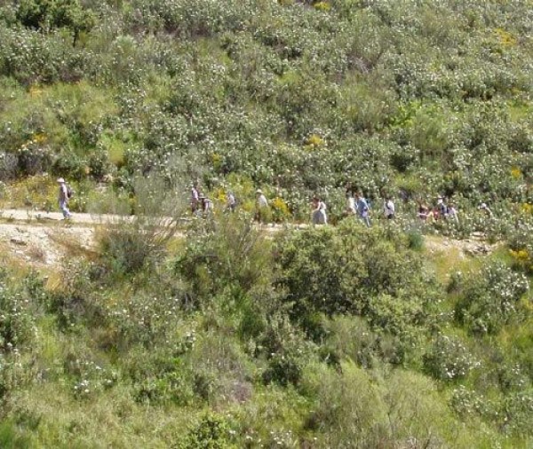 Cartel de Ruta Turística “Sierra de Azuaga”