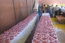 VII Matanza Típica Extremeña 