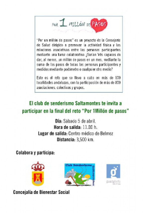 Cartel de Final reto “Por un millón de pasos” 