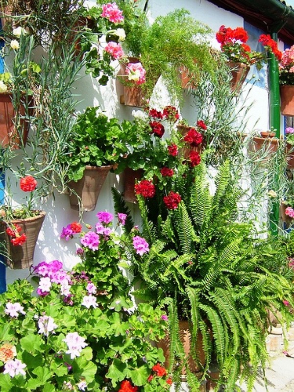 Cartel de Concurso de Decoración de Fachadas 