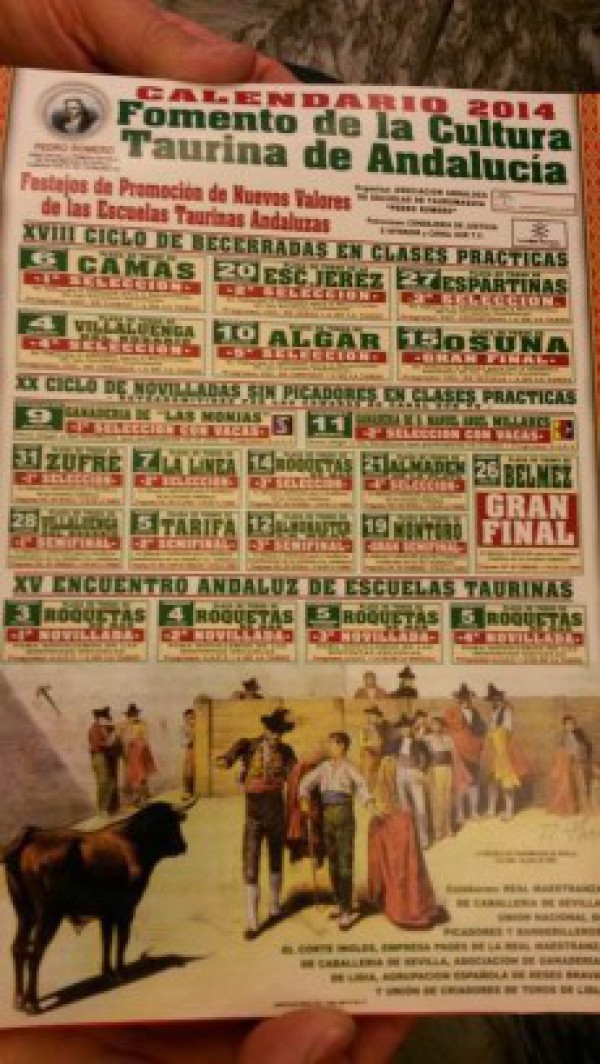 Cartel de Gran Final de Novilladas de Promoción 