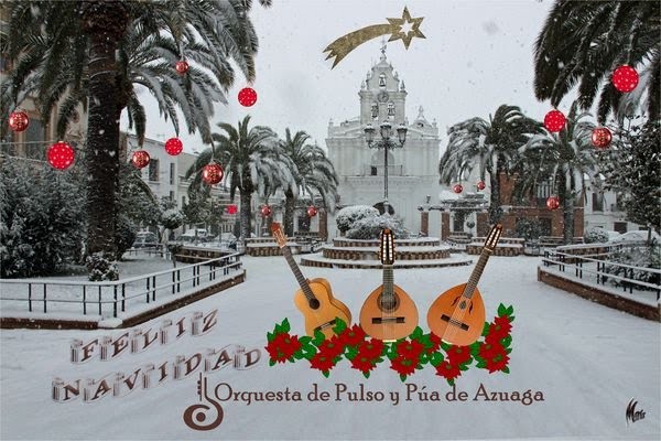 Cartel de Concierto de Navidad Orquesta Pulso y Púa