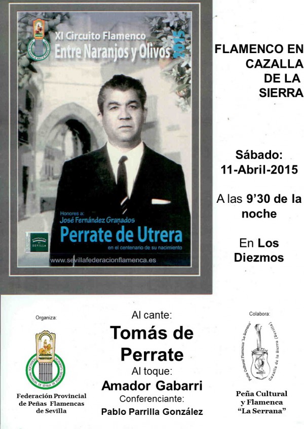 Cartel de XI Circuito Flamenco entre Naranjos y Olivos