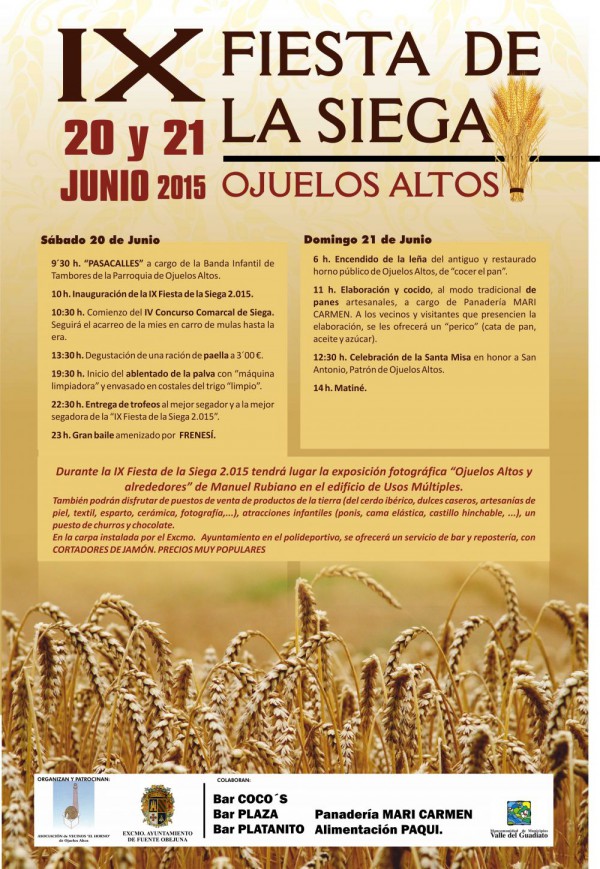 Cartel de IX Fiesta de La Siega