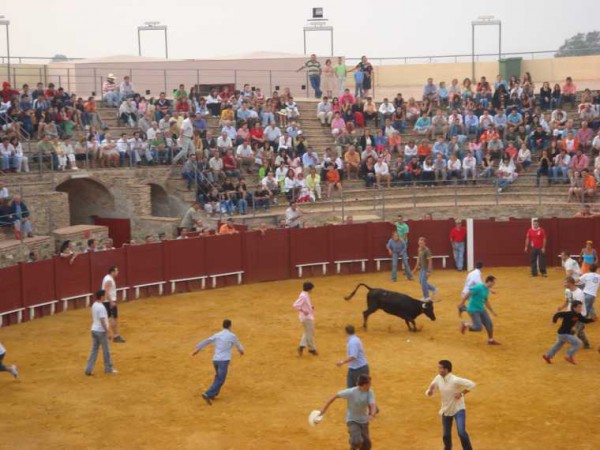 Cartel de Suelta de Vaquillas en Azuaga