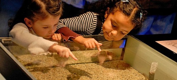 Cartel de Museo Etnográfico: Actividades para niños