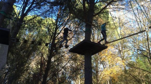 Cartel de Bosque Suspendido de la Sierra Norte
