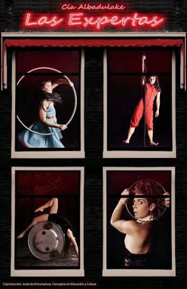 Cartel de Teatro-Circo: Las Expertas