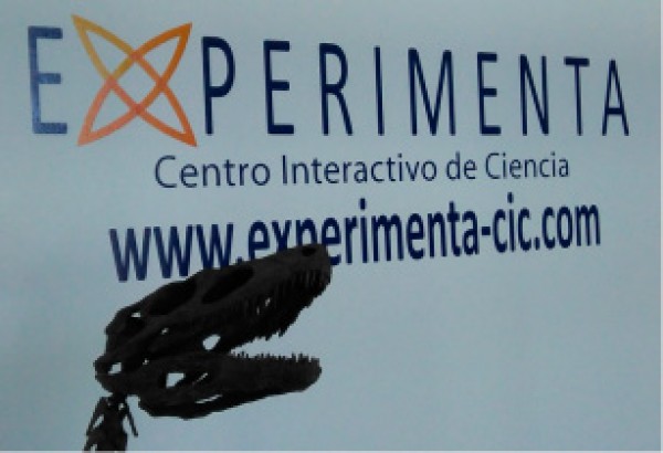Cartel de La Luz de las estrellas