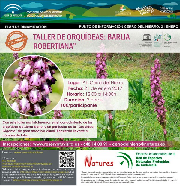 Cartel de Taller de orquídeas: Barlia Robertiana