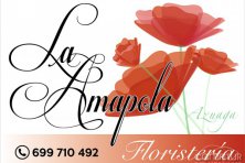 La Amapola Floristería 