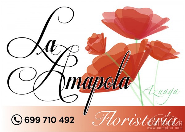 La Amapola Floristería 