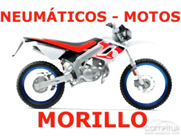Neumáticos y Motos Morillo