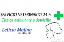Servicio veterinario 24 horas