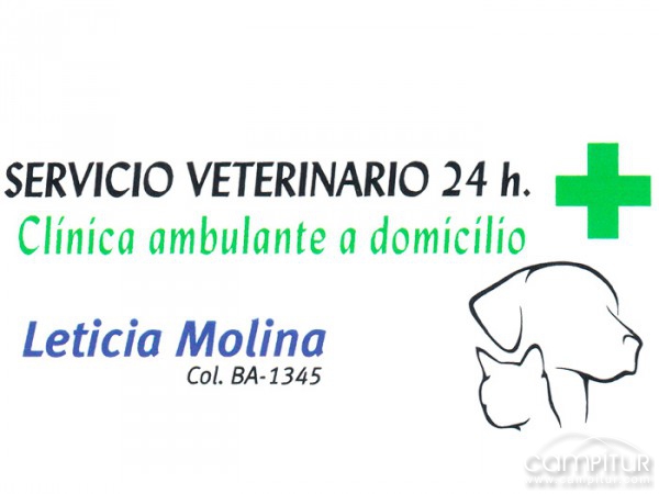 Servicio veterinario 24 horas