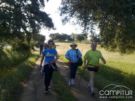 RUTA DEL REY JAYON,   LLERENA 2011