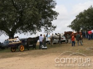 San Isidro Azuaga 2008
