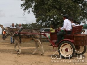 San Isidro Azuaga 2008