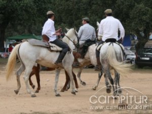 San Isidro Azuaga 2008