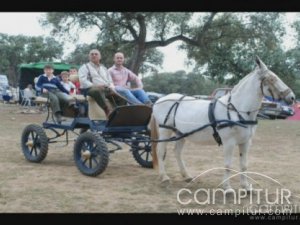 Celebrando Romería de San Isidro