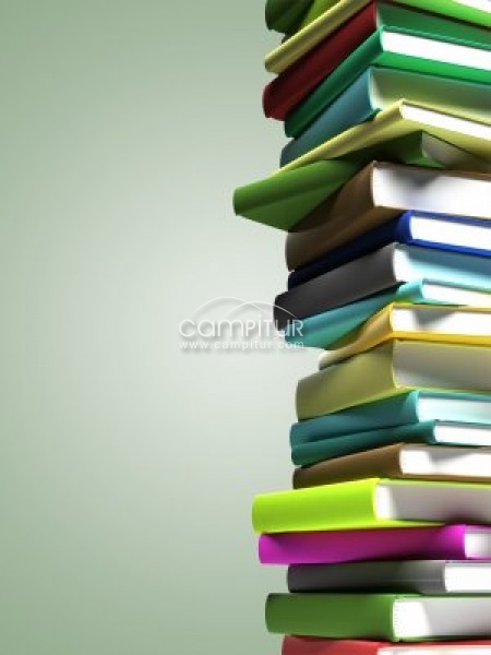 libros de 4ºESO y BACHILLERATO DE HUMANIDADES