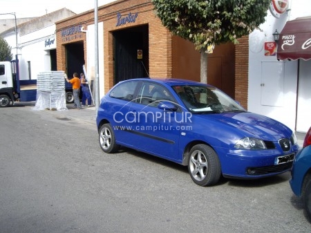 SEAT IBIZA 1.9 TDI 105CV SIGNA