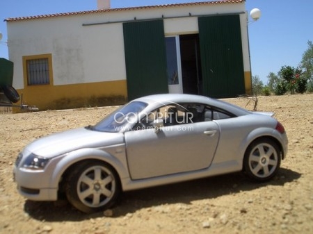 SE VENDE AUDI TT 