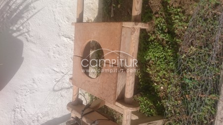 Cosas antiguas 