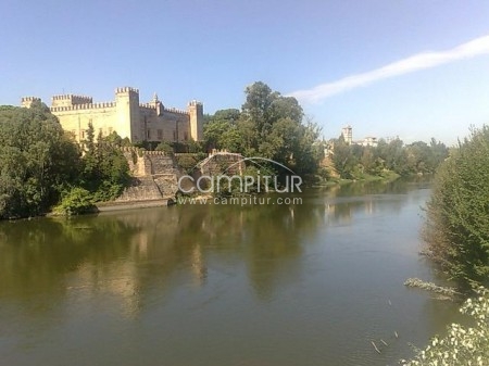 FINCA 50.000m2 muy cerca de MADRID, con LUZ y EDIFICABLE  junto a Precioso  RIO por 50.000 Euros 