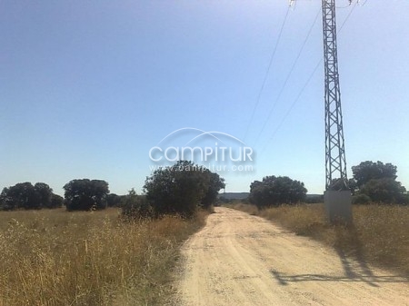 Foto 2 de FINCA 50.000m2 muy cerca de MADRID, con LUZ y EDIFICABLE  junto a Precioso  RIO por 50.000 Euros 