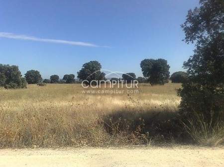 Foto 3 de FINCA 50.000m2 muy cerca de MADRID, con LUZ y EDIFICABLE  junto a Precioso  RIO por 50.000 Euros 