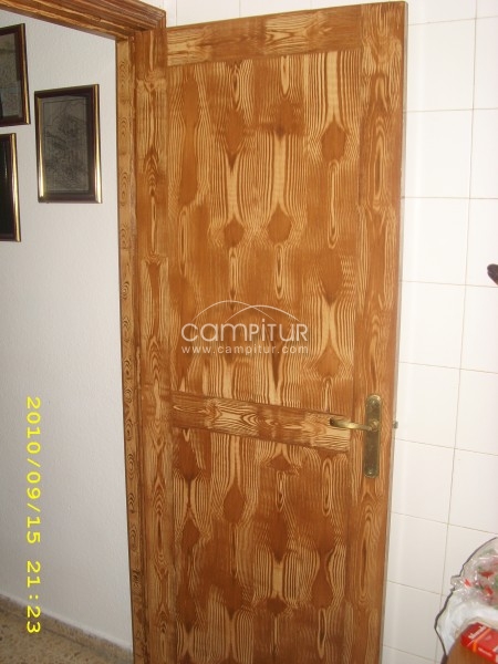 Foto 3 de puertas imitación de puertas antiguas